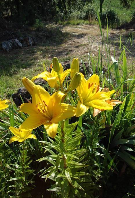 Agriturismo Tre Madonne 蒙特里久尼 客房 照片
