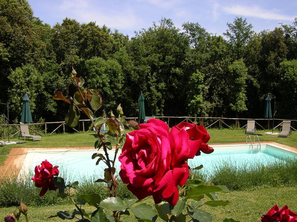 Agriturismo Tre Madonne 蒙特里久尼 外观 照片