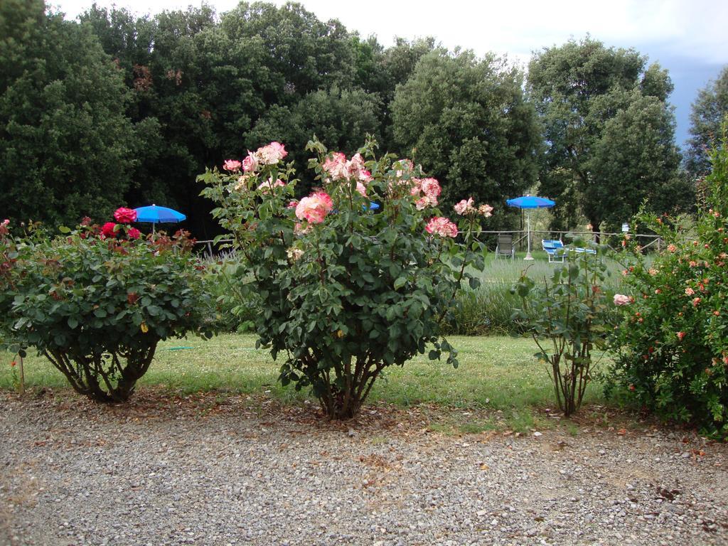 Agriturismo Tre Madonne 蒙特里久尼 客房 照片