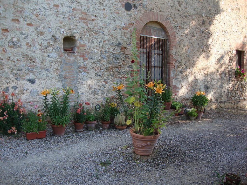 Agriturismo Tre Madonne 蒙特里久尼 客房 照片