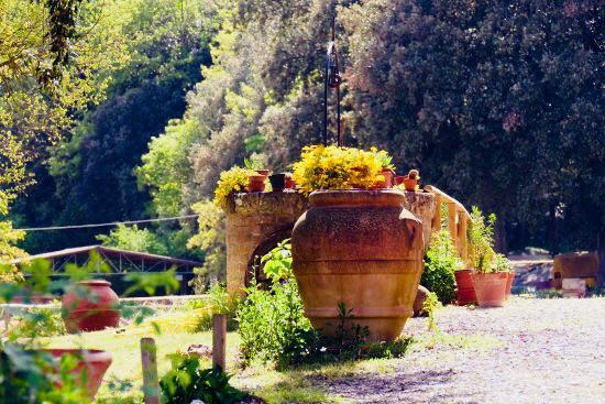 Agriturismo Tre Madonne 蒙特里久尼 外观 照片