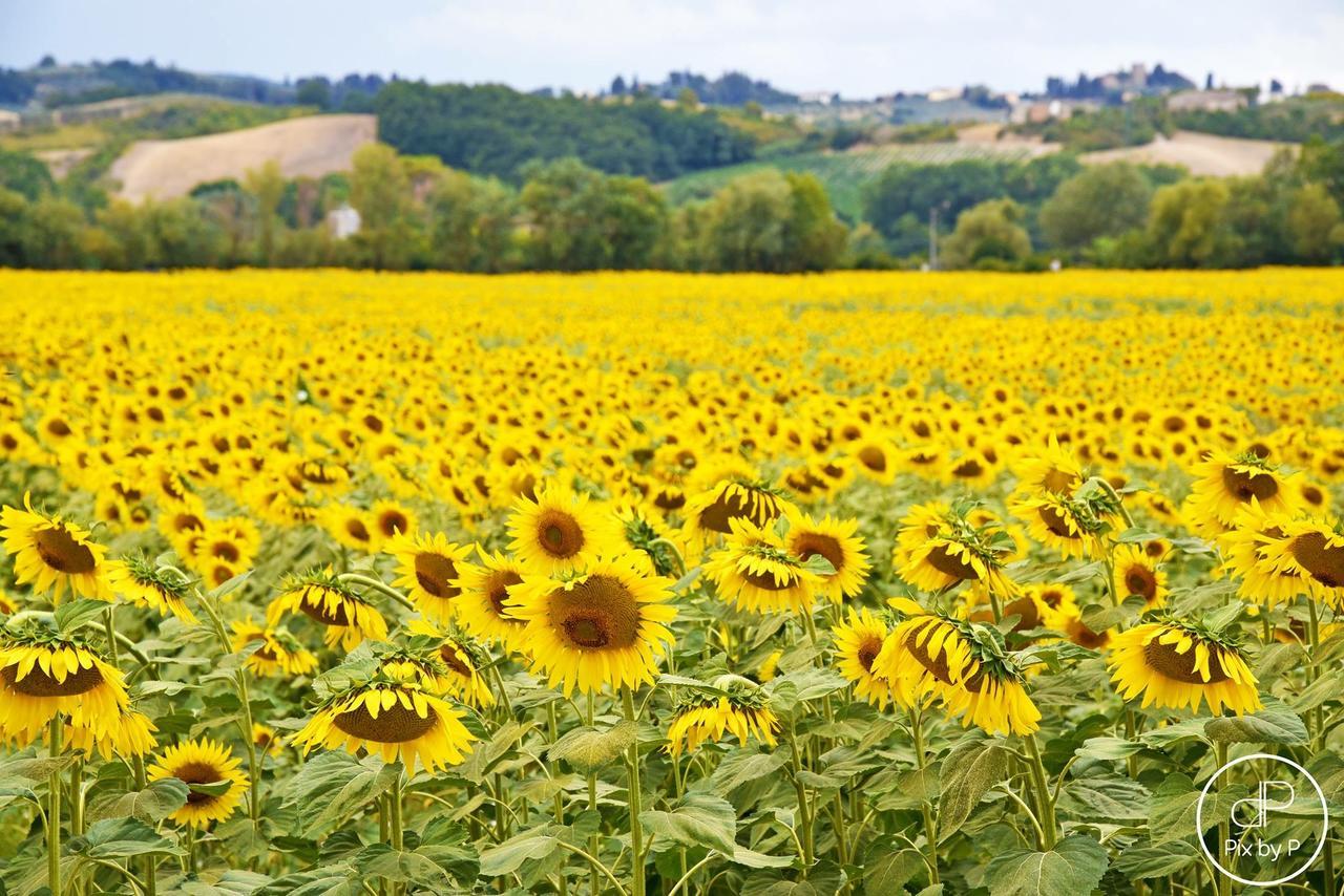 Agriturismo Tre Madonne 蒙特里久尼 外观 照片